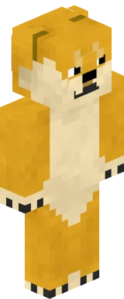 Skin do personagem