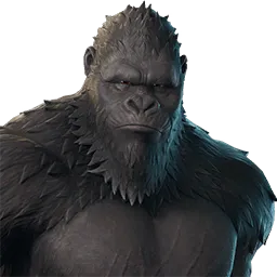 Kong